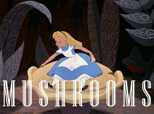 Alice eating mushrooms