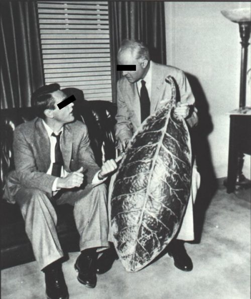 Proof of the Government 50s pod people experiments