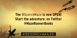 Be a Maze Runner with Scorch Maze