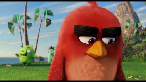 angry birds - Red get's owned